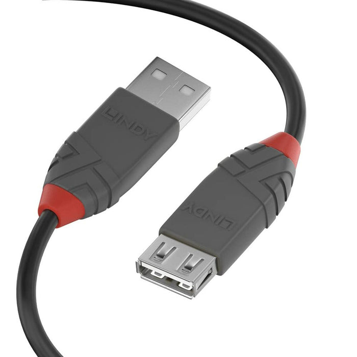 Cable DisplayPort LINDY 36703 2 m Negro